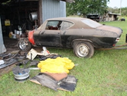 Barn Find